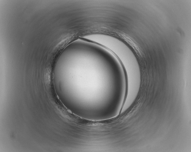X0000116510501200912091452