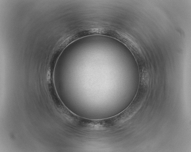 X0000116510502200912091452