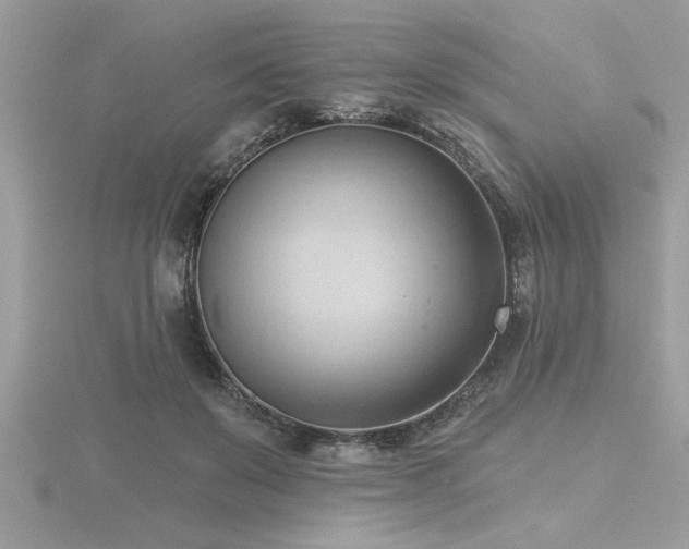 X0000116510503200912091452
