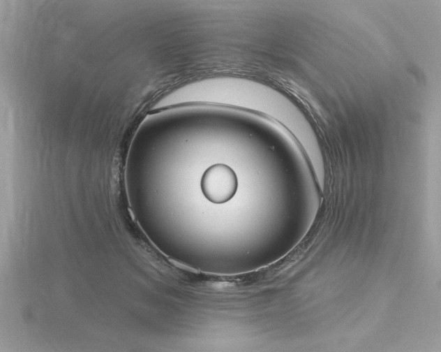 X0000116510509200912091452
