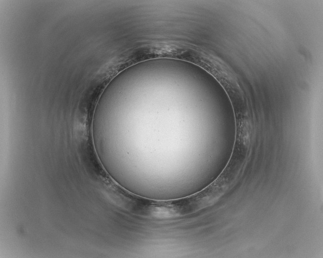 X0000116510510200912091452