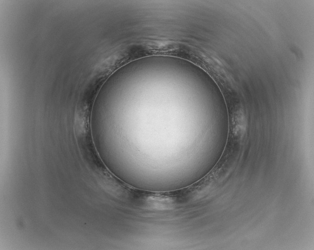 X0000116510515200912091451