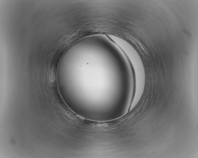 X0000116510517200912091451