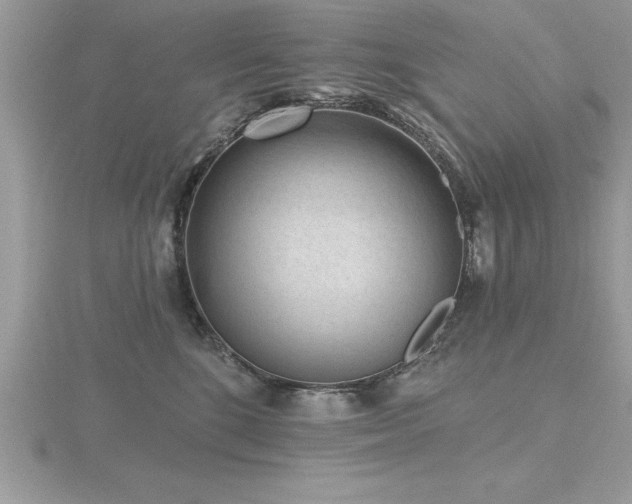 X0000116510520200912091451