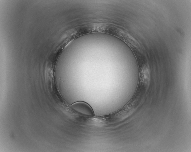 X0000116510522200912091451