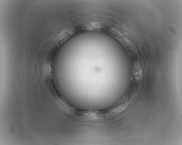 X0000116510523200912091451