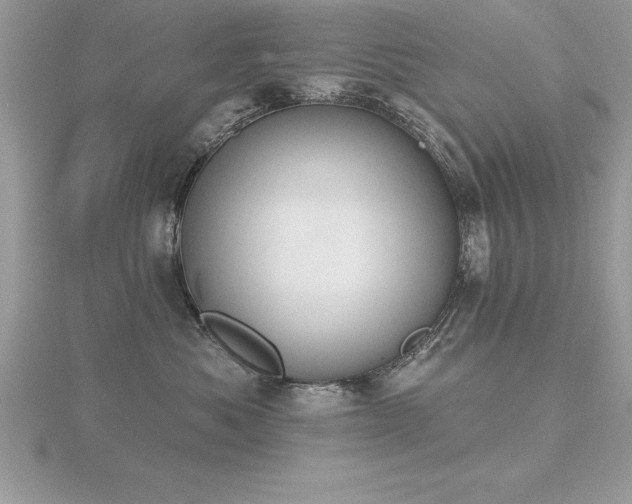 X0000116510525200912091451