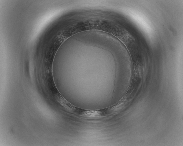 X0000116510526200912091451