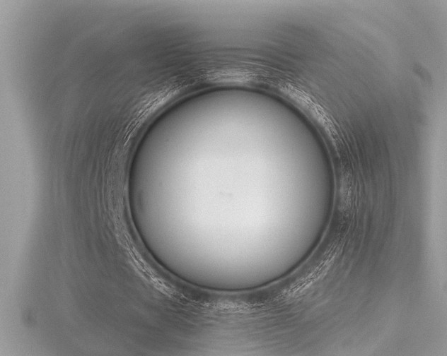 X0000116510529200912091451