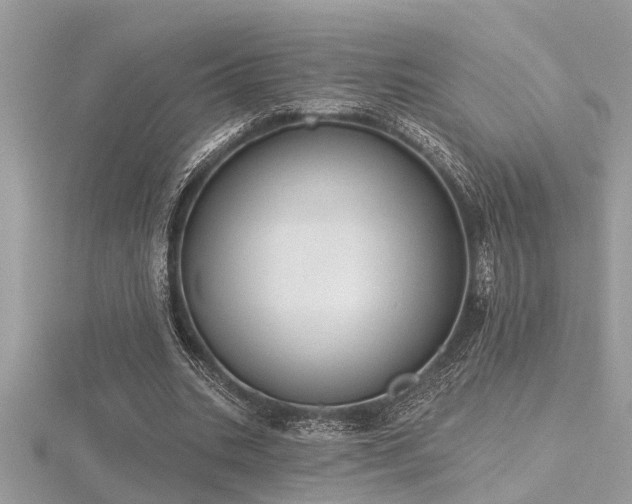 X0000116510535200912091451