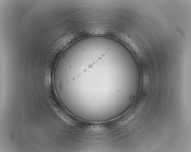 X0000116510541200912091451