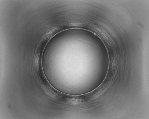 X0000116510542200912091451