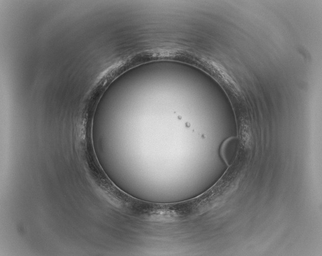X0000116510543200912091451