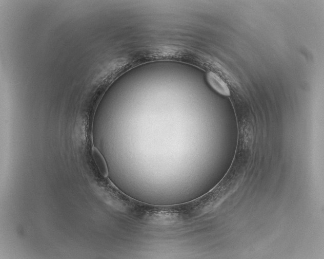 X0000116510546200912091451