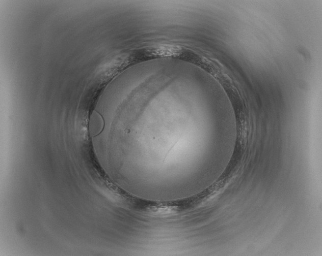 X0000116510553200912091451