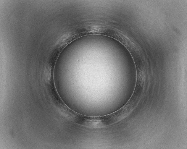 X0000116510554200912091451
