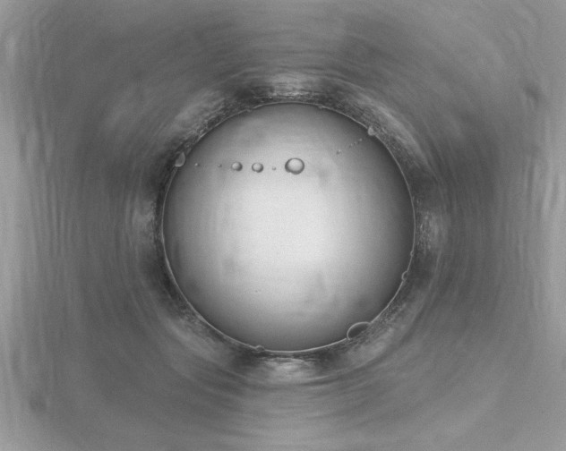 X0000116510557200912091451