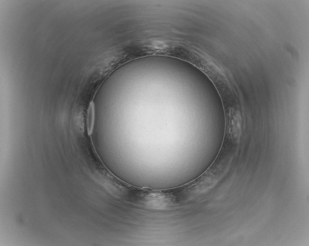 X0000116510562200912091451