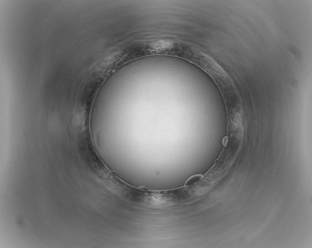 X0000116510565200912091451