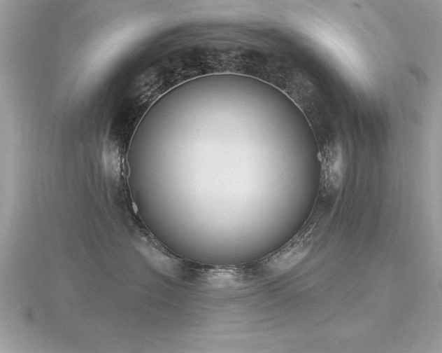X0000116510574200912091451