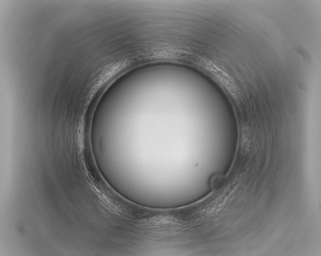 X0000116510578200912091450