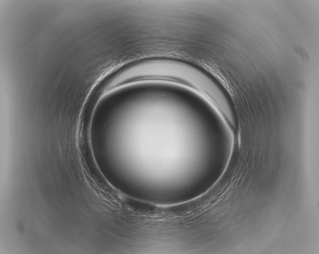 X0000116510579200912091450