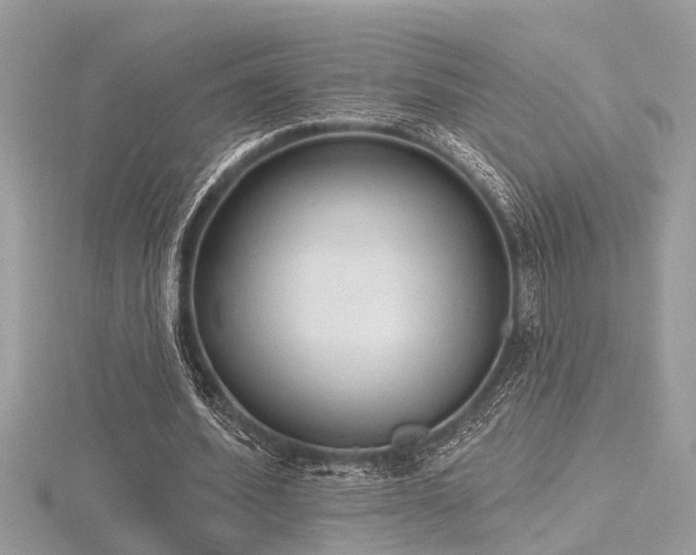 X0000116510580200912091450