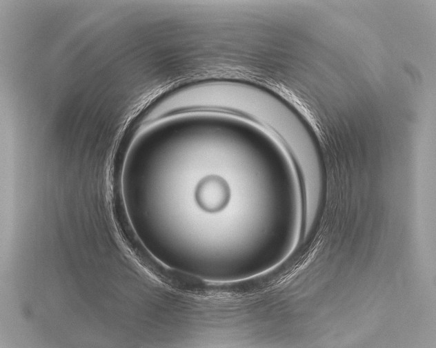 X0000116510581200912091450