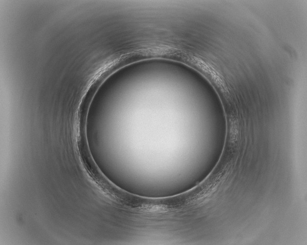 X0000116510582200912091450