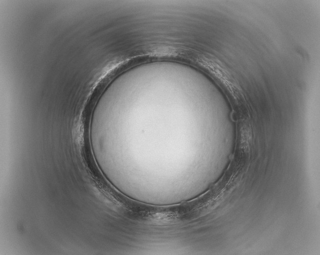 X0000116510584200912091450
