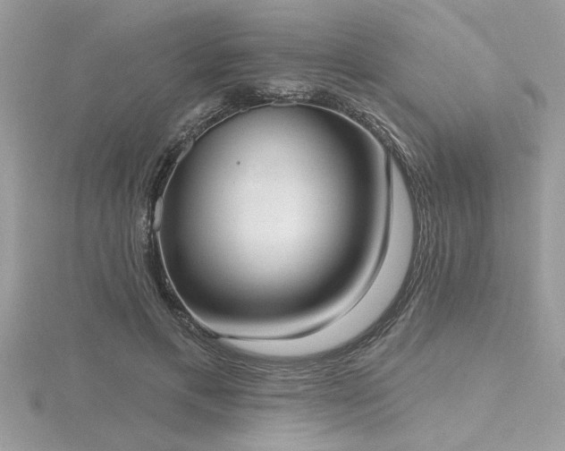 X0000116510597200912091450