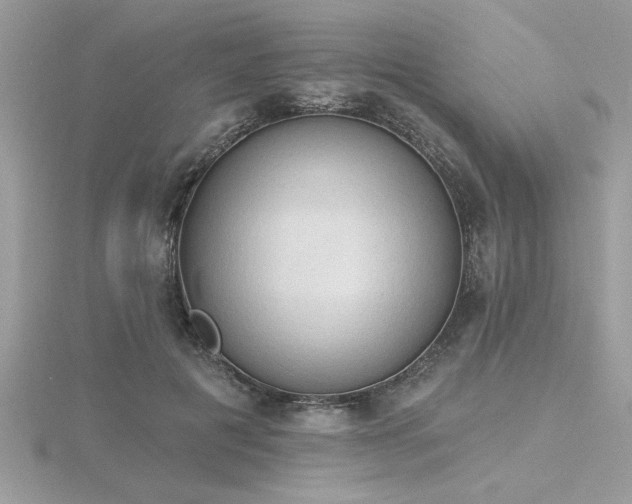 X0000116510601200912091450