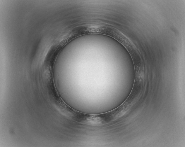 X0000116510603200912091450