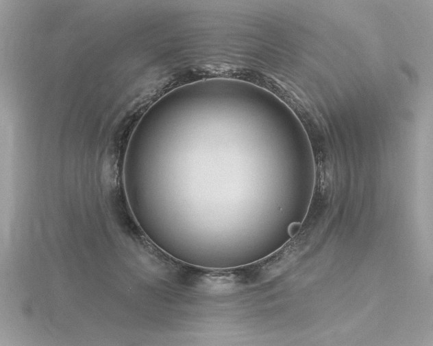 X0000116510606200912091450