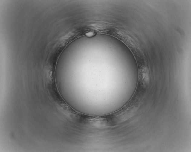 X0000116510615200912091450