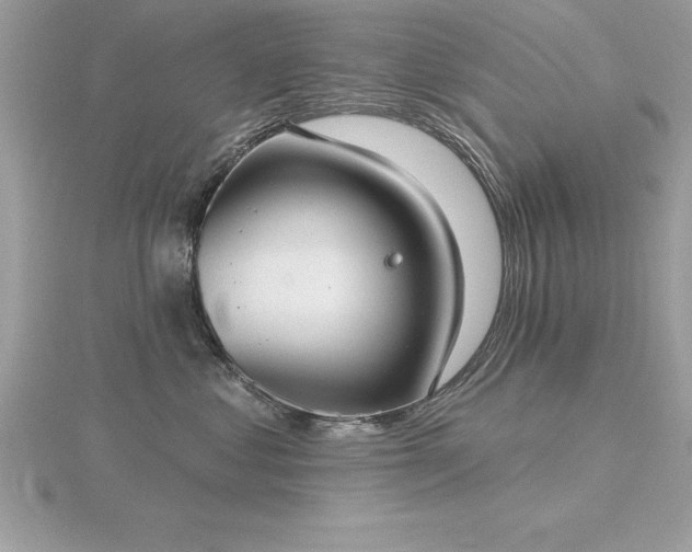 X0000116510621200912091450