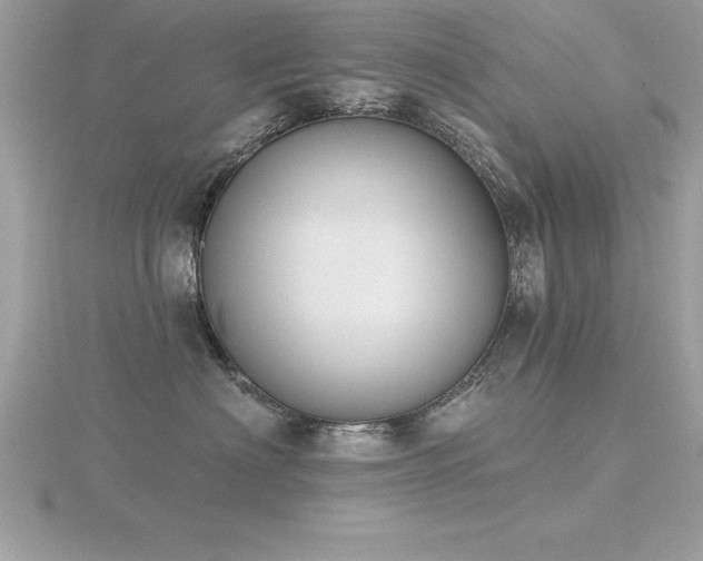 X0000116510622200912091450