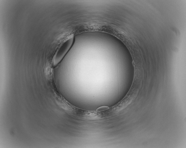 X0000116510624200912091450