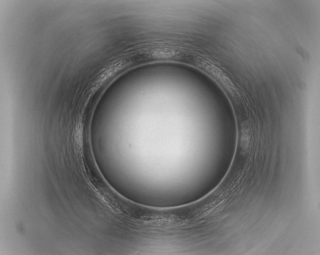 X0000116510626200912091449