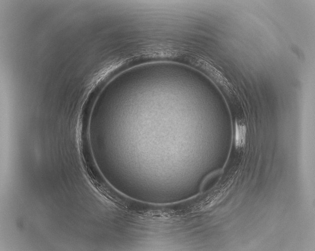 X0000116510627200912091449