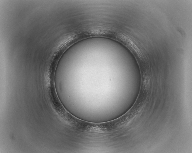X0000116510635200912091449