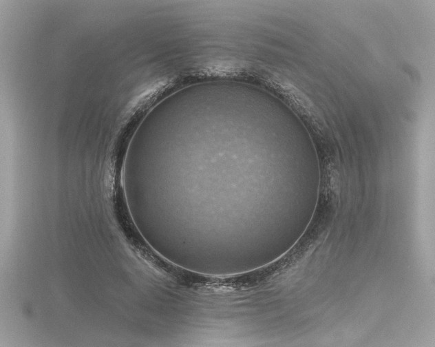 X0000116510640200912091449