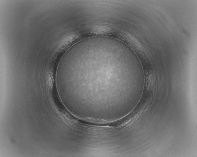 X0000116510644200912091449