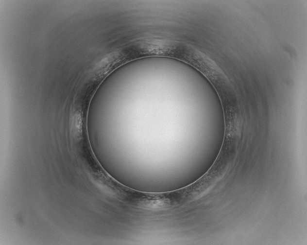 X0000116510646200912091450