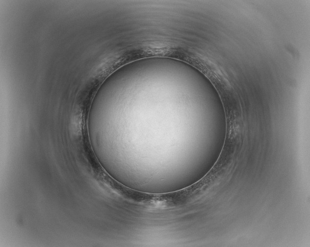 X0000116510647200912091450