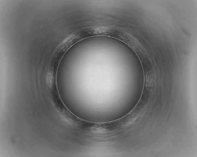 X0000116510648200912091450