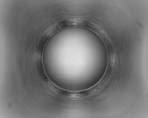 X0000116510657200912091450