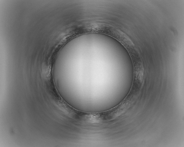 X0000116510660200912091450