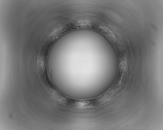 X0000116510662200912091450
