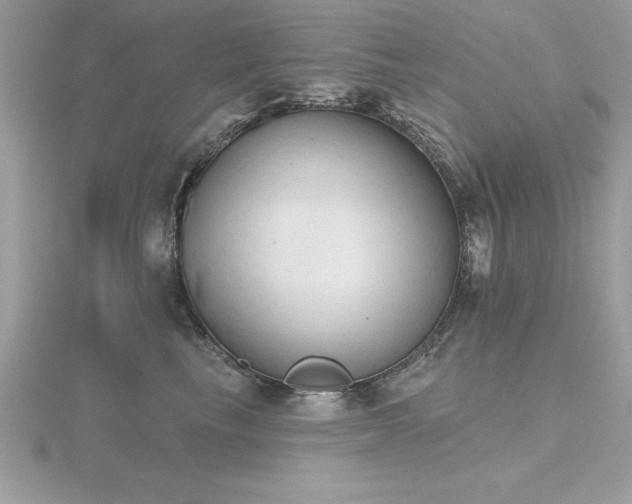 X0000116510665200912091450